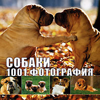 Собаки. 1001 фотография