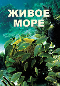 Живое море